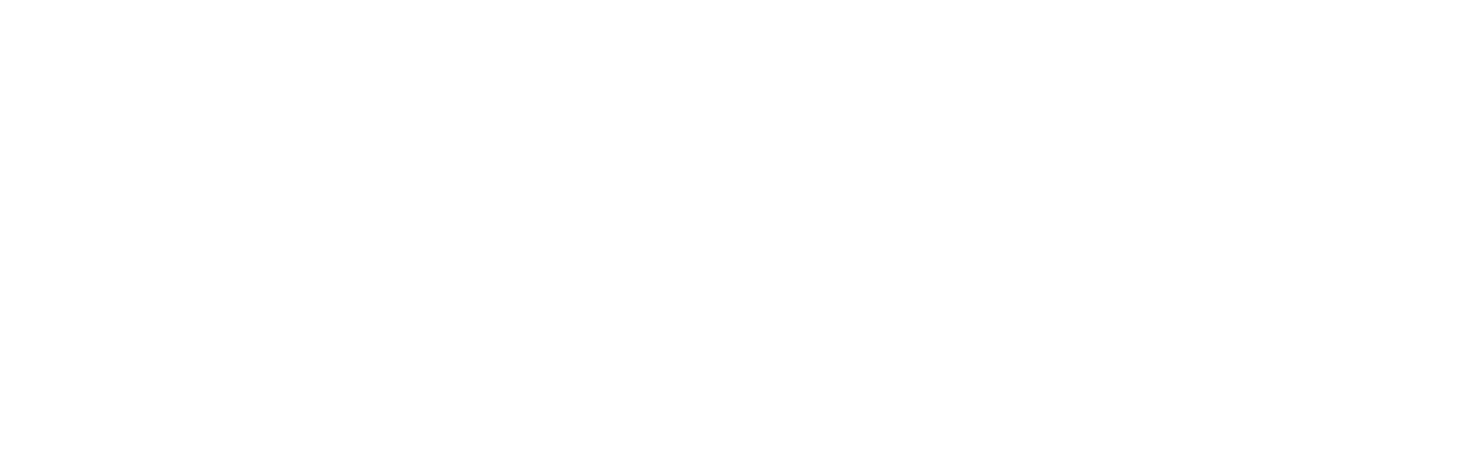Regulex